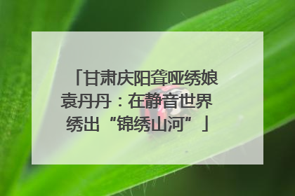 甘肃庆阳聋哑绣娘袁丹丹：在静音世界绣出“锦绣山河”
